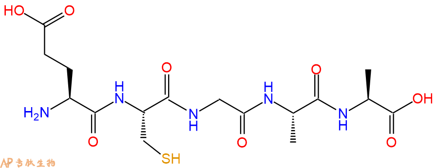专肽生物产品五肽Glu-Cys-Gly-Ala-Ala
