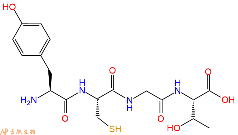 专肽生物产品四肽Tyr-Cys-Gly-Thr