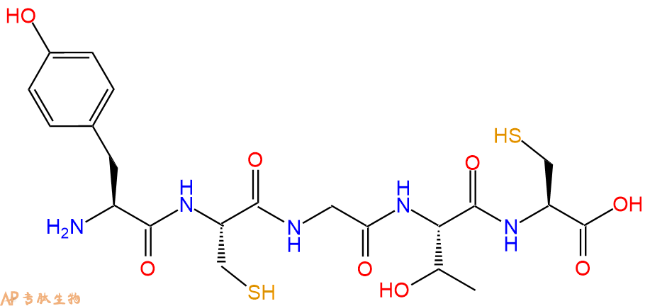 专肽生物产品五肽Tyr-Cys-Gly-Thr-Cys
