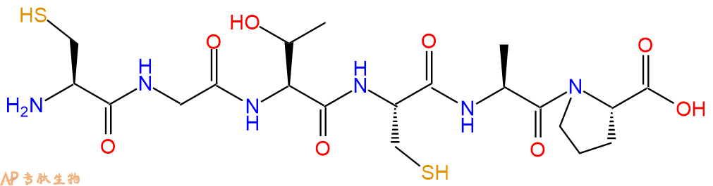 专肽生物产品六肽Cys-Gly-Thr-Cys-Ala-Pro