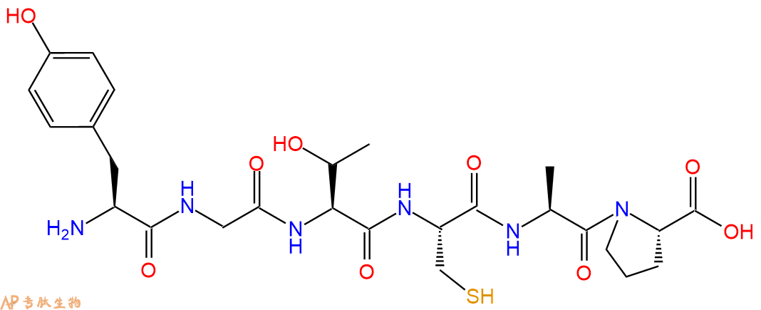 专肽生物产品六肽Tyr-Gly-Thr-Cys-Ala-Pro