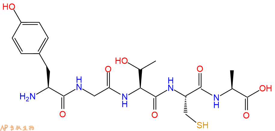 专肽生物产品五肽Tyr-Gly-Thr-Cys-Ala