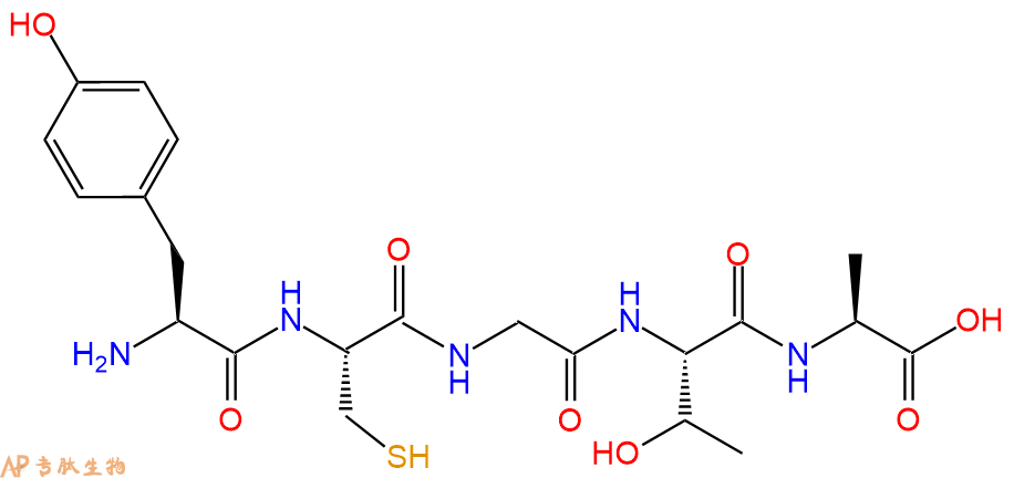 专肽生物产品五肽Tyr-Cys-Gly-Thr-Ala