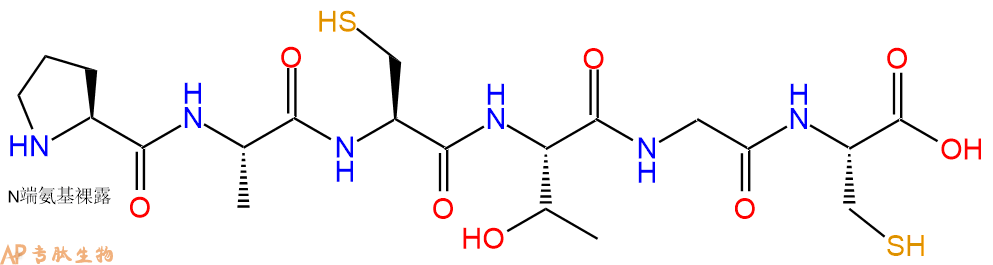 专肽生物产品六肽Pro-Ala-Cys-Thr-Gly-Cys