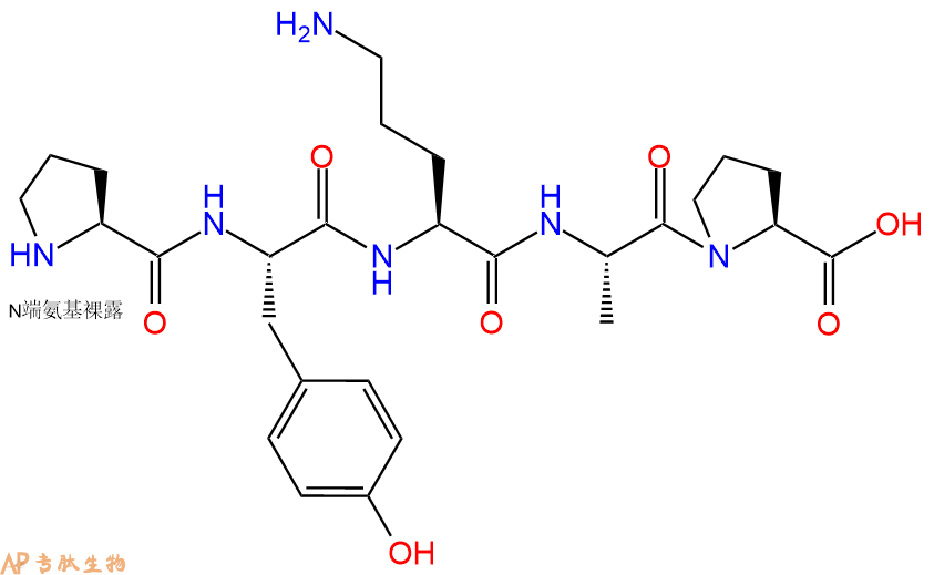 专肽生物产品五肽Pro-Tyr-Orn-Ala-Pro