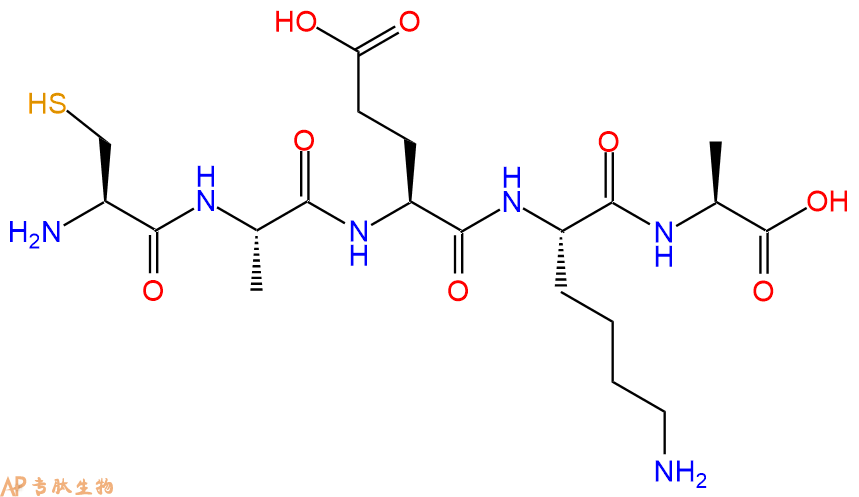 专肽生物产品五肽Cys-Ala-Glu-Lys-Ala
