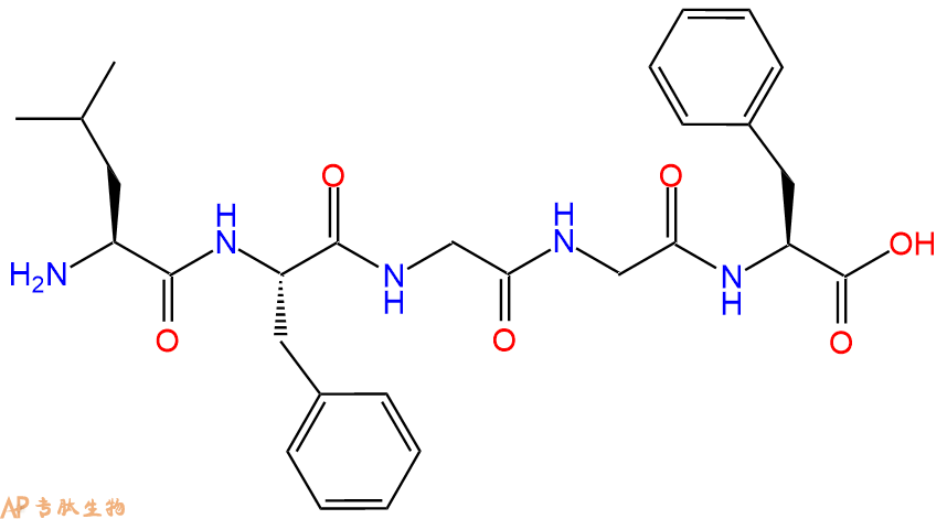 专肽生物产品五肽Leu-Phe-Gly-Gly-Phe