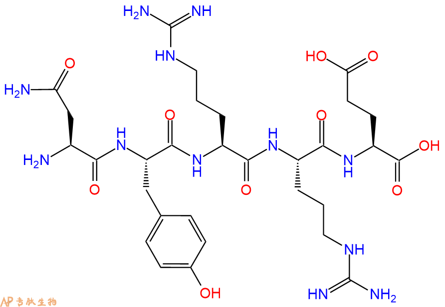 专肽生物产品五肽Asn-Tyr-Arg-Arg-Glu