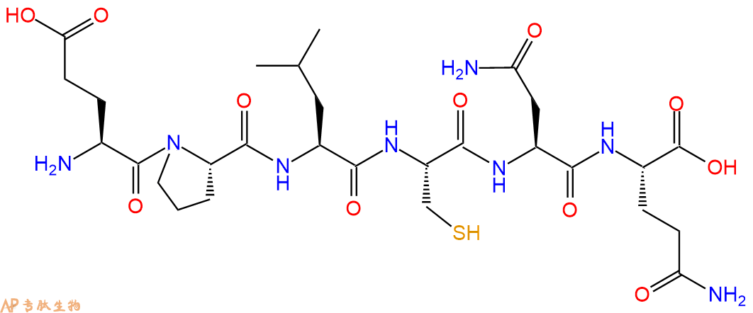 专肽生物产品六肽Glu-Pro-Leu-Cys-Asn-Gln