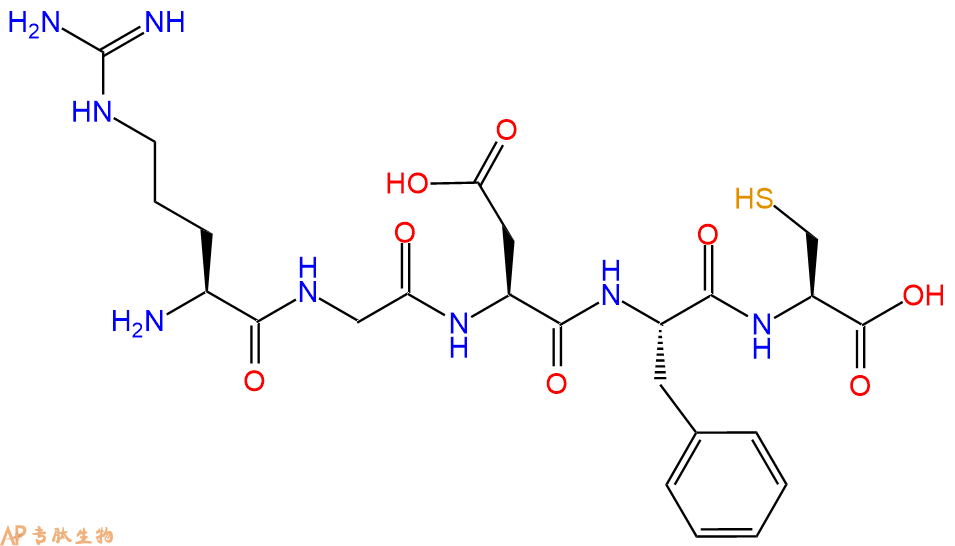 专肽生物产品五肽Arg-Gly-Asp-Phe-Cys