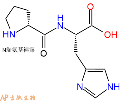 专肽生物产品二肽DPro-His