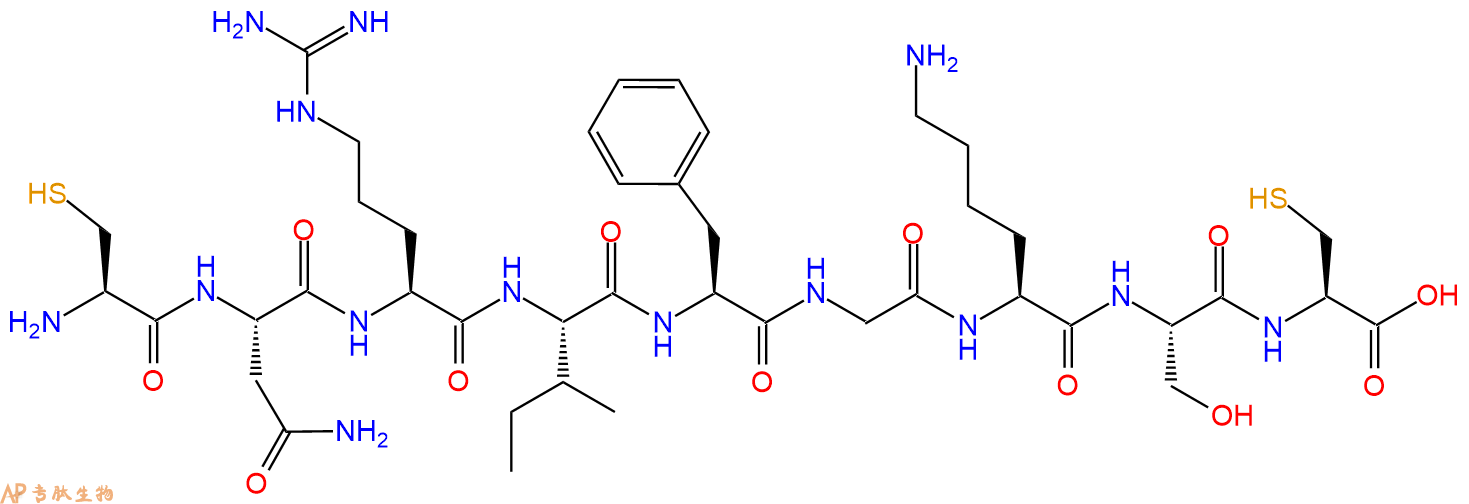 专肽生物产品九肽CNRIFGKSC