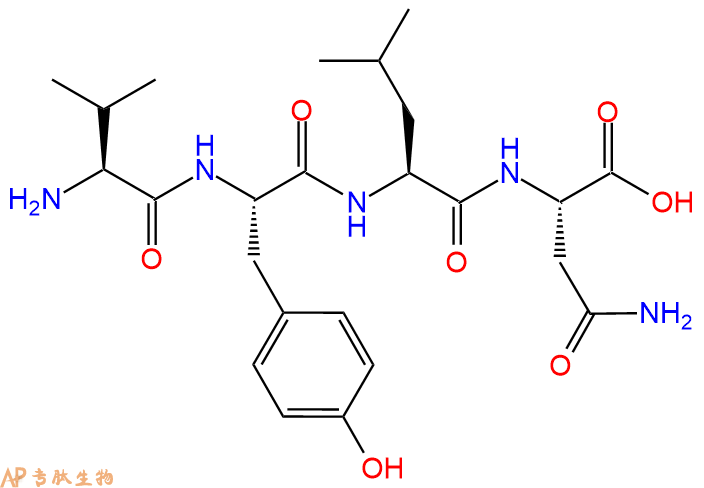 专肽生物产品四肽Val-Tyr-Leu-Asn