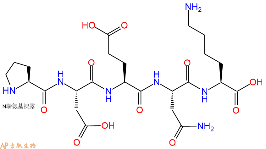 专肽生物产品五肽Pro-Asp-Glu-Asn-Lys
