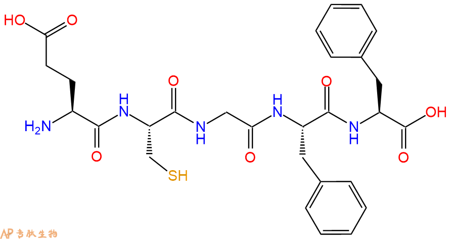 专肽生物产品五肽Glu-Cys-Gly-Phe-Phe
