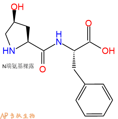 专肽生物产品二肽Hyp-Phe