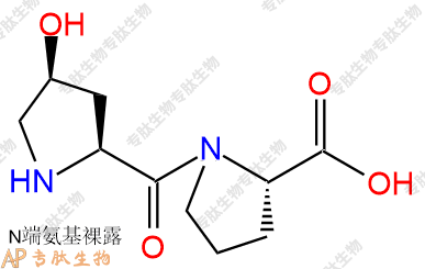 专肽生物产品二肽Hyp-Pro