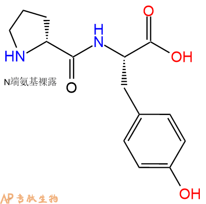 专肽生物产品二肽DPro-Tyr