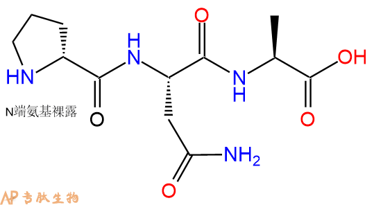 专肽生物产品三肽DPro-Asn-Ala