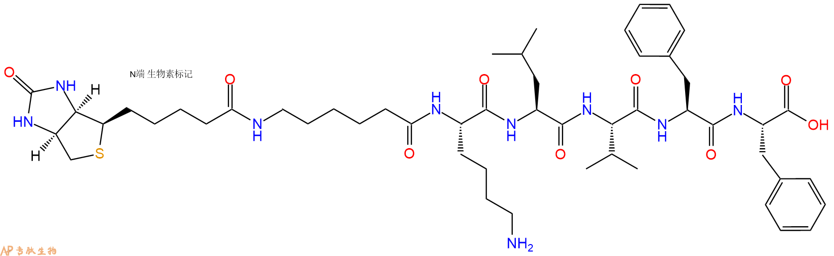 专肽生物产品生物素标记肽Biotin-Acp-Lys-Leu-Val-Phe-Phe