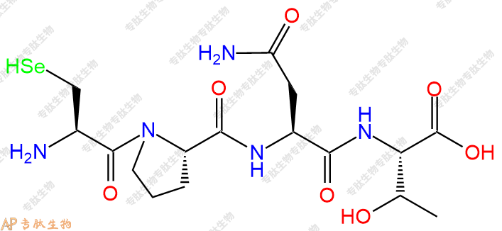 专肽生物产品四肽Sec-Pro-Asn-Thr