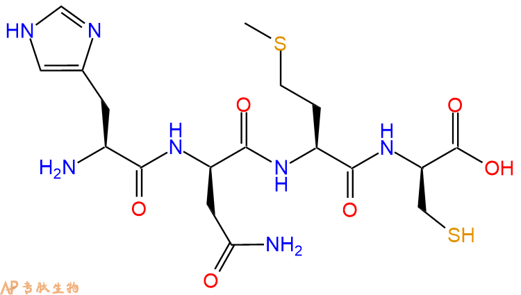 专肽生物产品四肽His-DAsn-Met-DCys