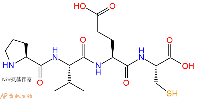 专肽生物产品四肽Pro-Val-Glu-Cys