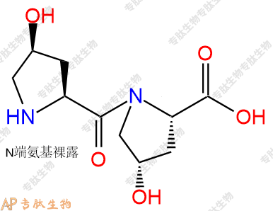 专肽生物产品二肽Hyp-Hyp