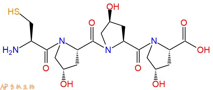 专肽生物产品四肽Cys-Hyp-Hyp-Hyp