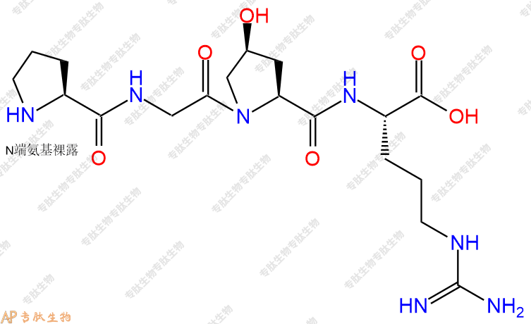 专肽生物产品四肽Pro-Gly-Hyp-Arg