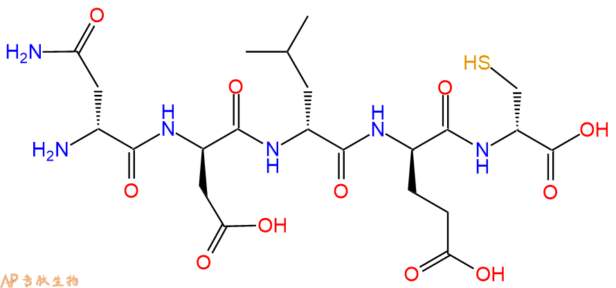 专肽生物产品五肽DAsn-DAsp-DLeu-DGlu-DCys