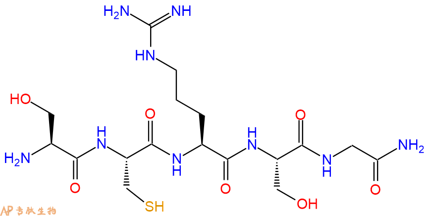 专肽生物产品五肽Ser-Cys-Arg-Ser-Gly-NH2