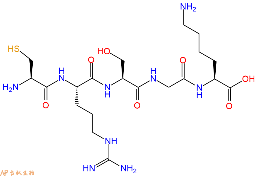 专肽生物产品五肽Cys-Arg-Ser-Gly-Lys