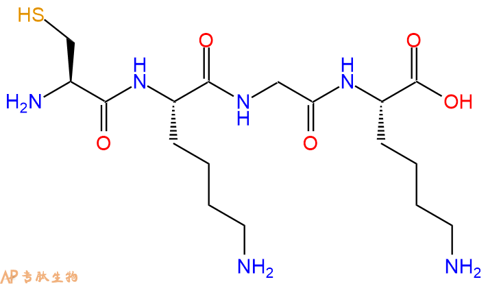 专肽生物产品四肽Cys-Lys-Gly-Lys