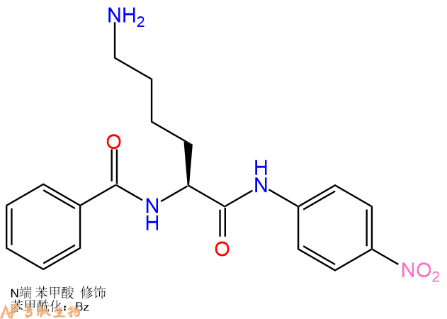 专肽生物产品Bz-Lys-pNA