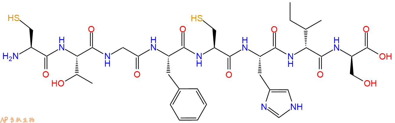 专肽生物产品CTGF His