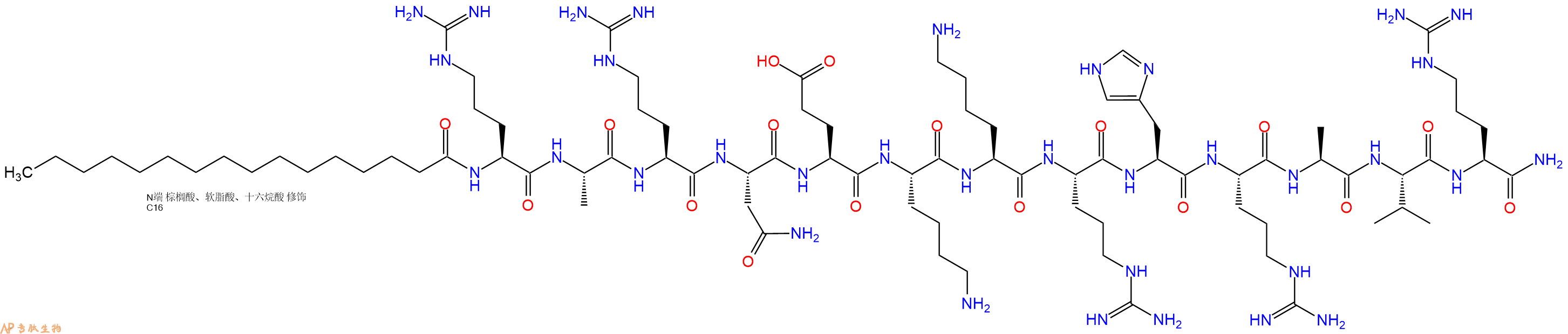 专肽生物产品PAL-Arg-Ala-Arg-Asn-Glu-Lys-Lys-Arg-His-Arg-Ala-Va