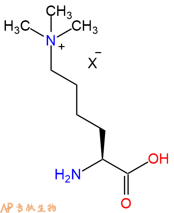 专肽生物产品H2N-Lys(Me)3-COOH