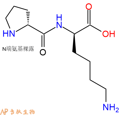 专肽生物产品H2N-DPro-DLys-COOH