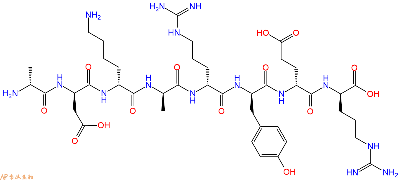专肽生物产品H2N-DAla-DAsp-DLys-DAla-DArg-DTyr-DGlu-DArg-COOH