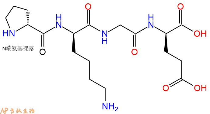 专肽生物产品H2N-DPro-DLys-Gly-DGlu-COOH