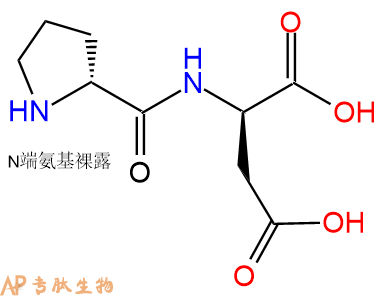专肽生物产品H2N-DPro-DAsp-COOH
