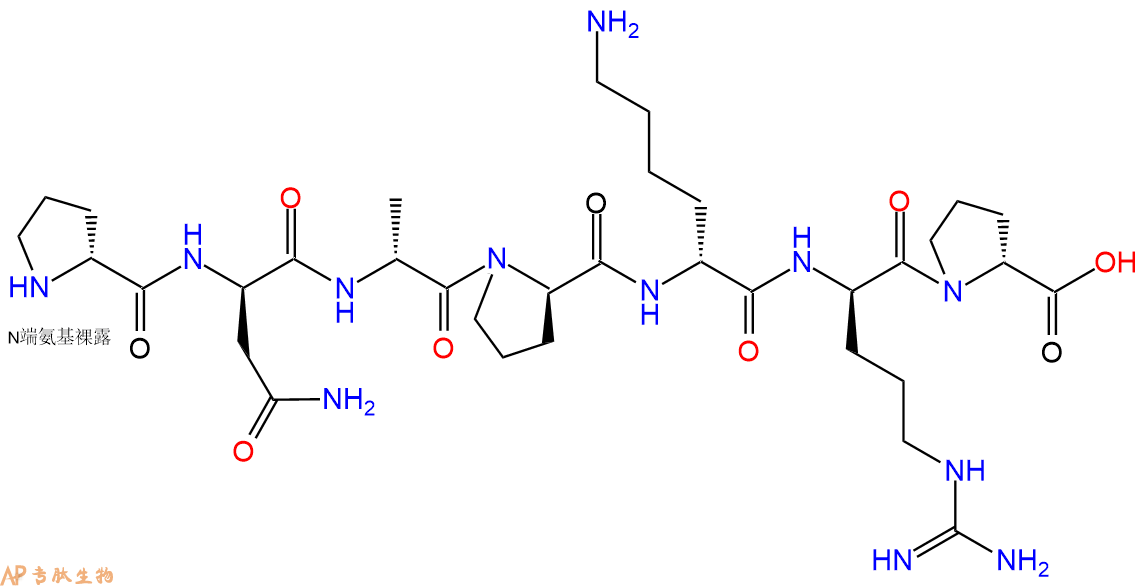 专肽生物产品H2N-DPro-DAsn-DAla-DPro-DLys-DArg-DPro-COOH