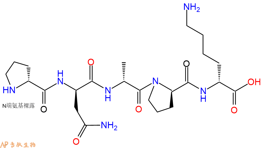 专肽生物产品H2N-DPro-DAsn-DAla-DPro-DLys-COOH