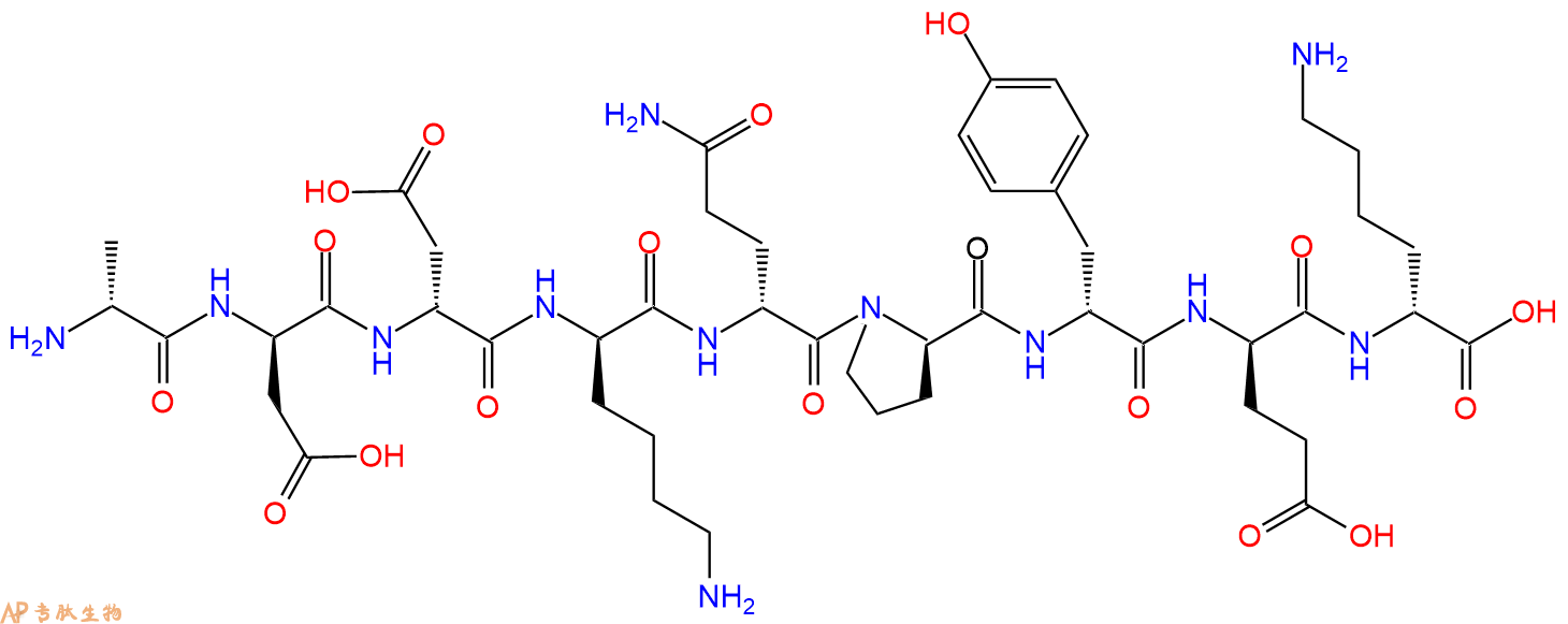 专肽生物产品H2N-DAla-DAsp-DAsp-DLys-DGln-DPro-DTyr-DGlu-DLys-C