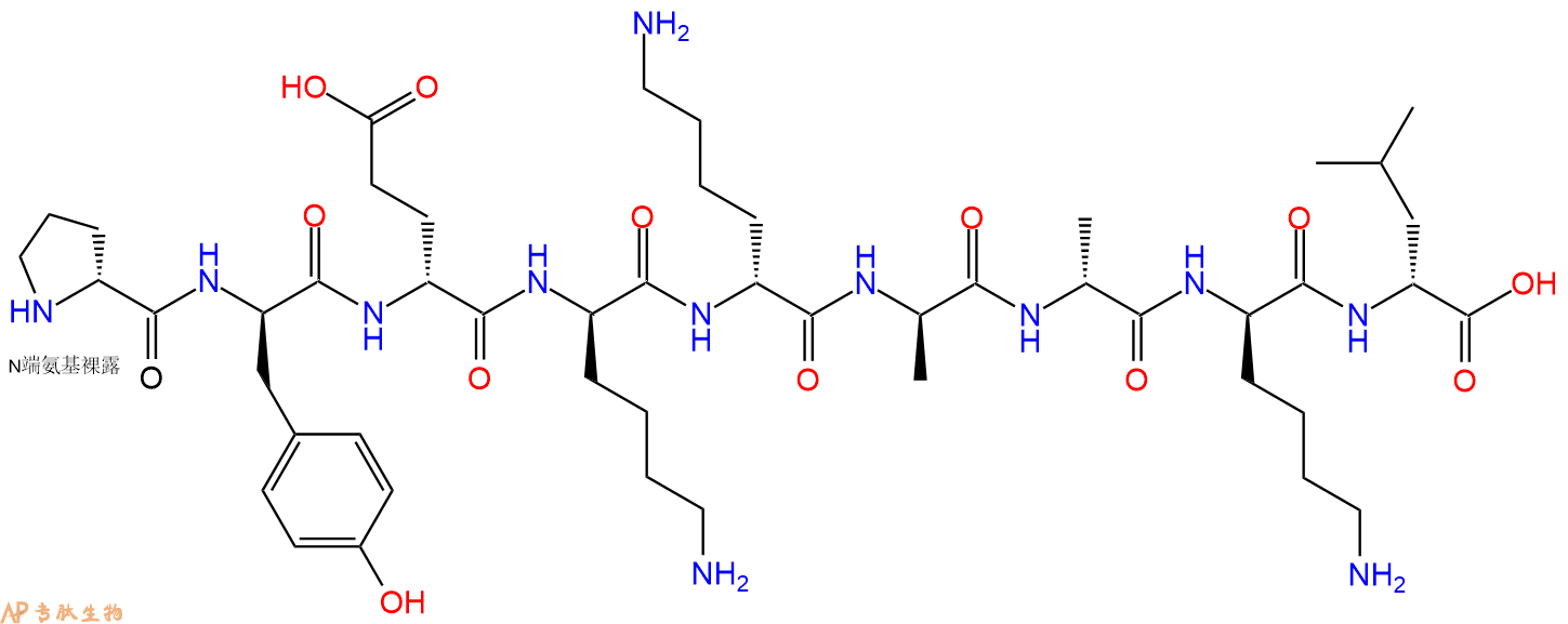 专肽生物产品H2N-DPro-DTyr-DGlu-DLys-DLys-DAla-DAla-DLys-DLeu-C