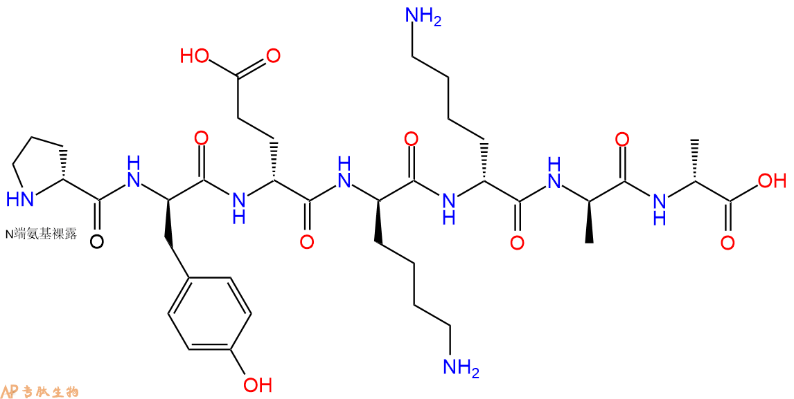 专肽生物产品H2N-DPro-DTyr-DGlu-DLys-DLys-DAla-DAla-COOH