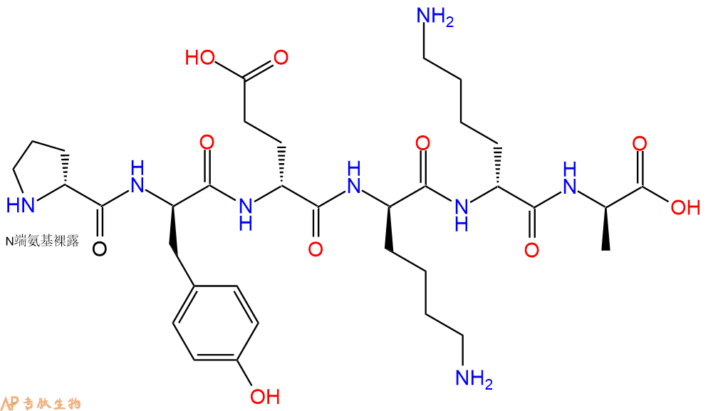 专肽生物产品H2N-DPro-DTyr-DGlu-DLys-DLys-DAla-COOH