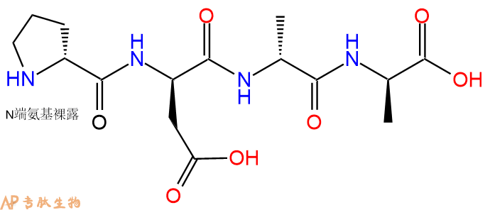 专肽生物产品H2N-DPro-DAsp-DAla-DAla-COOH