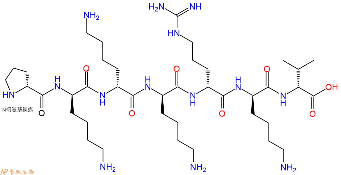 专肽生物产品H2N-DPro-DLys-DLys-DLys-DArg-DLys-DVal-COOH